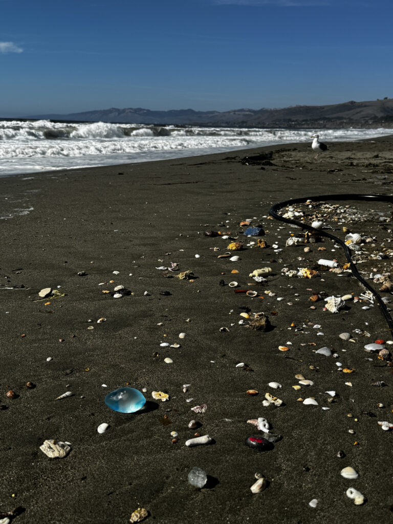 A beach with trash on the ground and waves in the background.