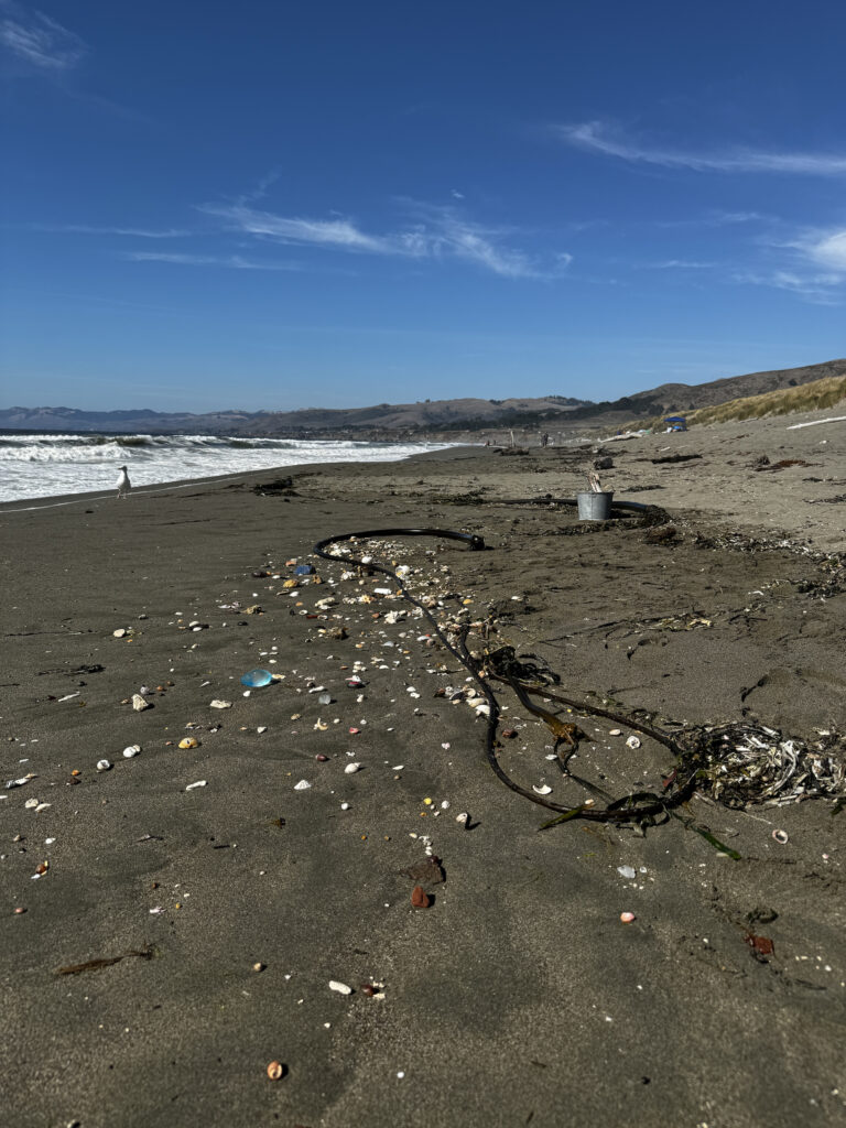 A beach with many trash on it and the ocean in the background.