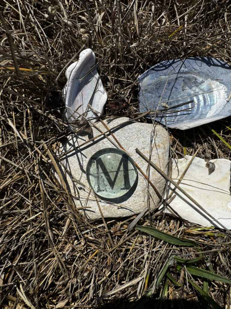 A broken shell sitting in the grass with a letter on it.