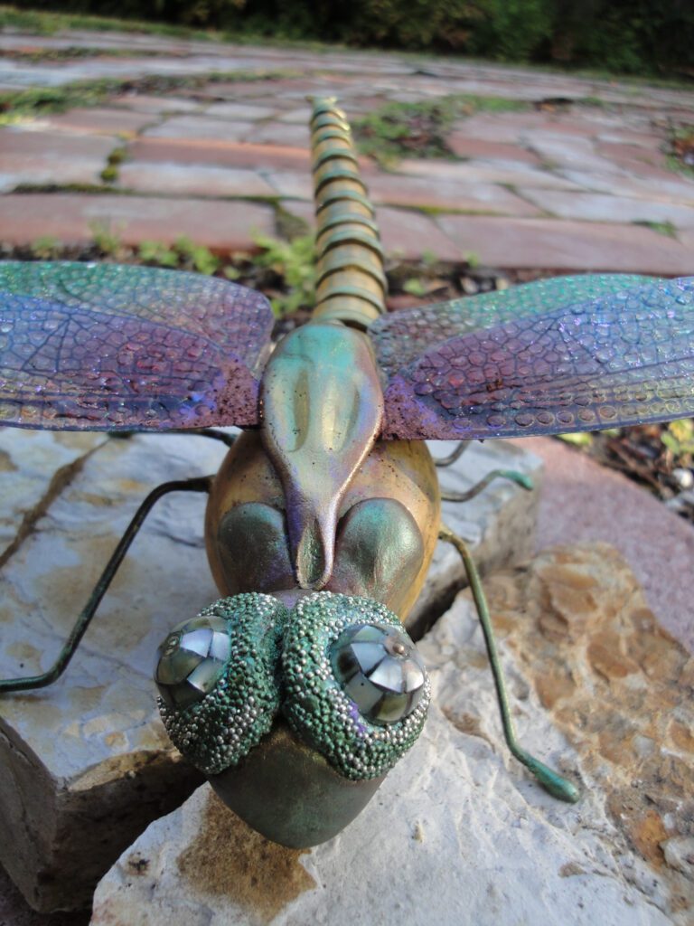 A close up of the head and legs of a dragon fly.