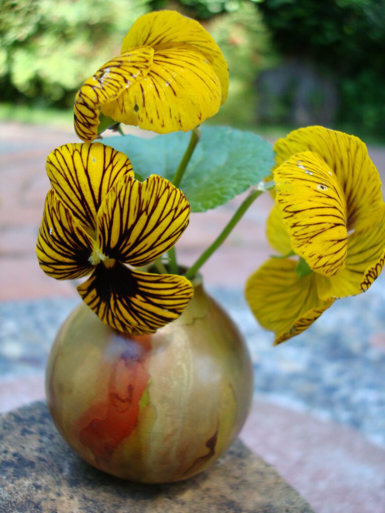 A vase with yellow flowers in it on the ground.