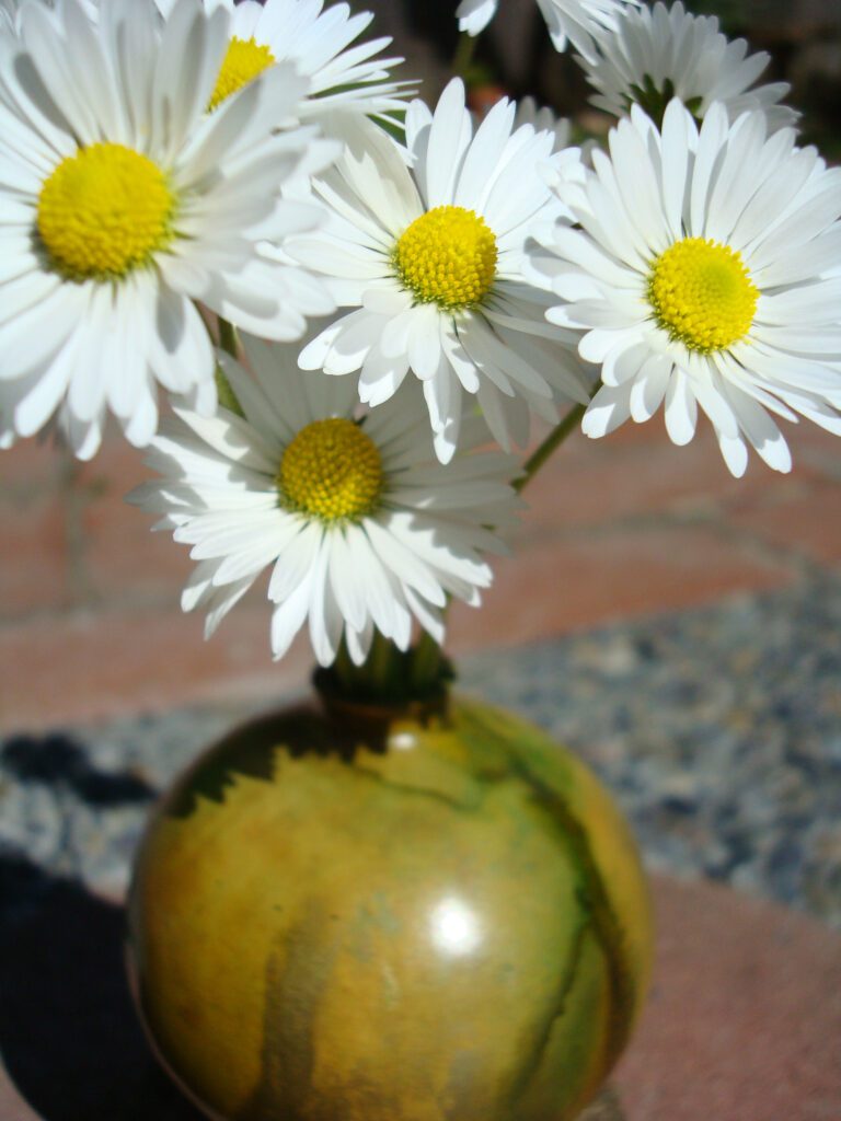 A vase with daisies in it sitting on the ground.