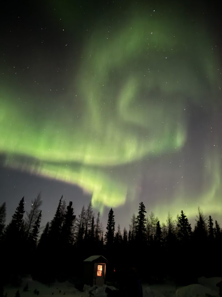 A green and yellow aurora over trees in the night sky.