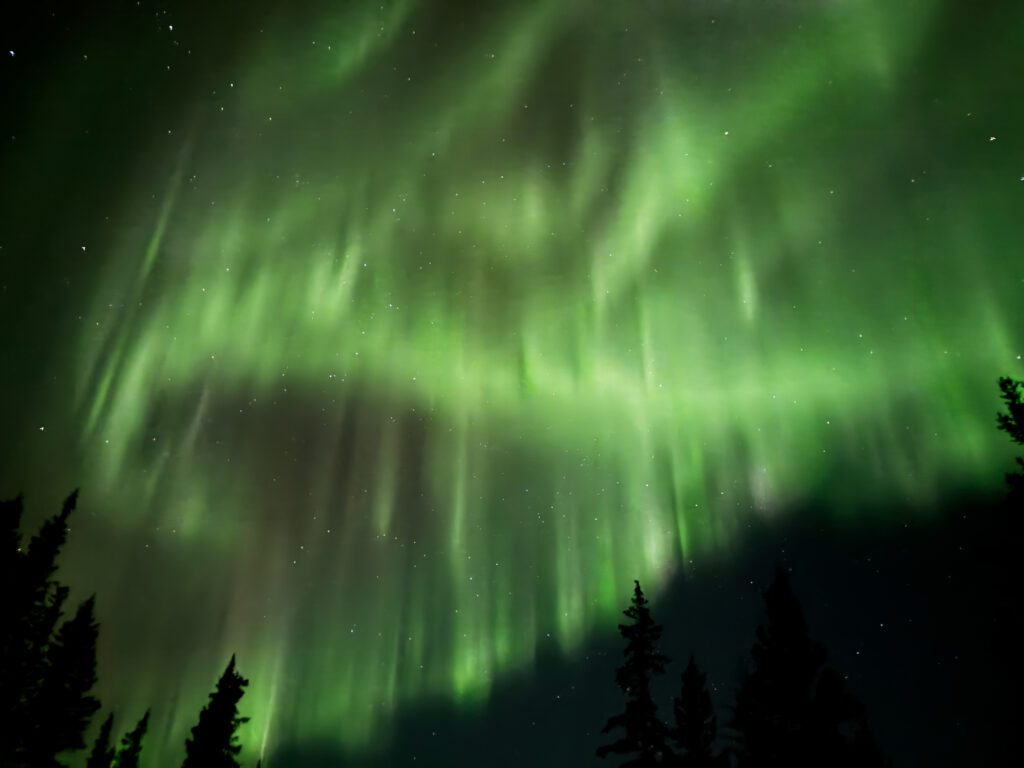 A green and yellow aurora over trees