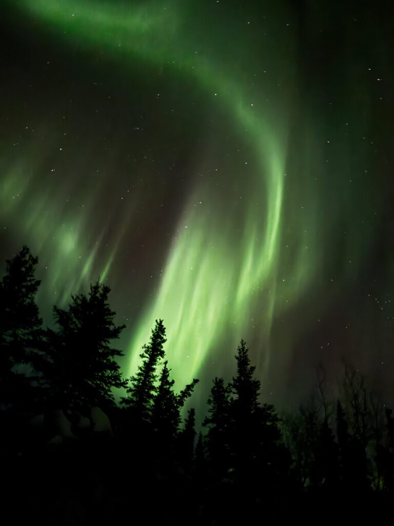 A green and yellow aurora over trees